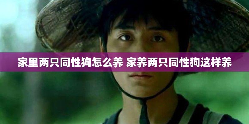 家里两只同性狗怎么养 家养两只同性狗这样养 家里两只同性狗怎么养 家养两只同性狗这样养