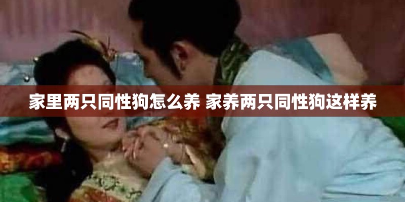 家里两只同性狗怎么养 家养两只同性狗这样养 家里两只同性狗怎么养 家养两只同性狗这样养