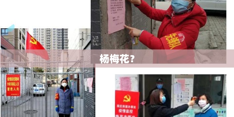 杨梅花? 杨梅花?