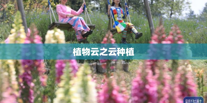 植物云之云种植