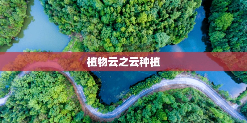 植物云之云种植 植物云之云种植