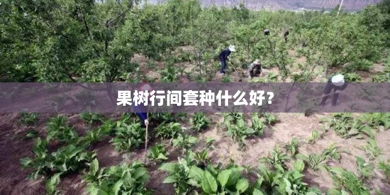 乌拉草床垫怎么样,乌拉草床垫的优缺点分析 乌拉草床垫怎么样,乌拉草床垫的优缺点分析
