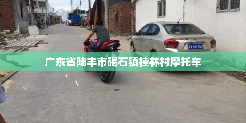 广东省陆丰市碣石镇桂林村摩托车