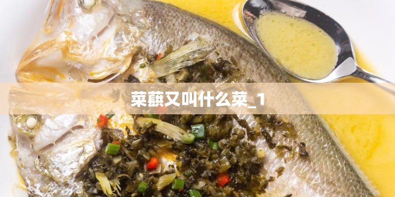 菜蕻又叫什么菜_1