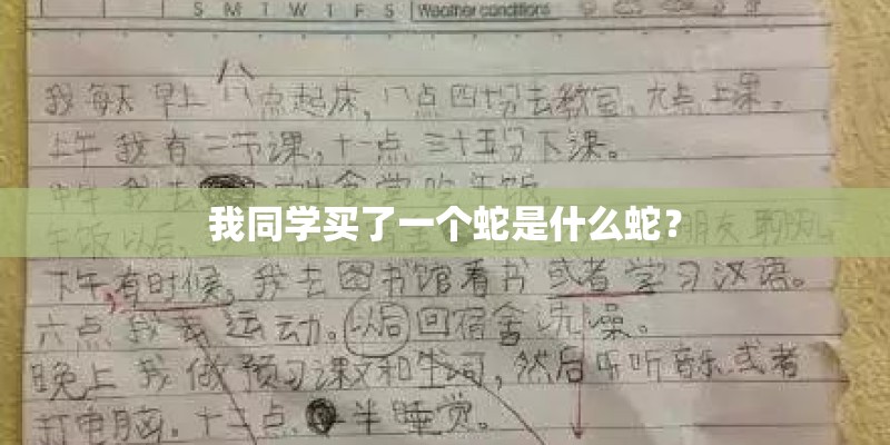 我同学买了一个蛇是什么蛇? 我同学买了一个蛇是什么蛇?