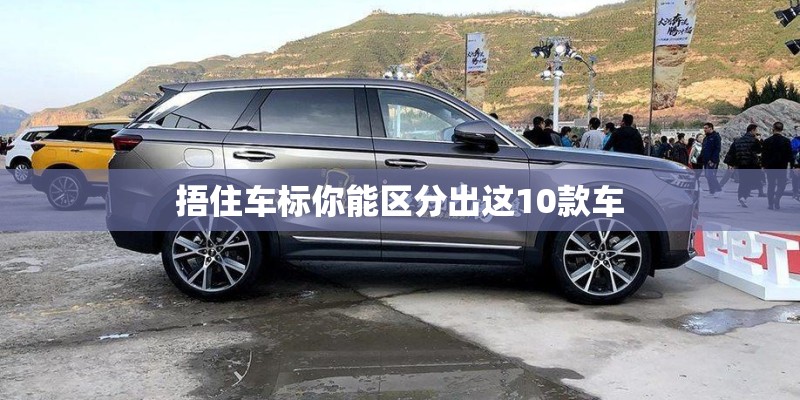 捂住车标你能区分出这10款车
