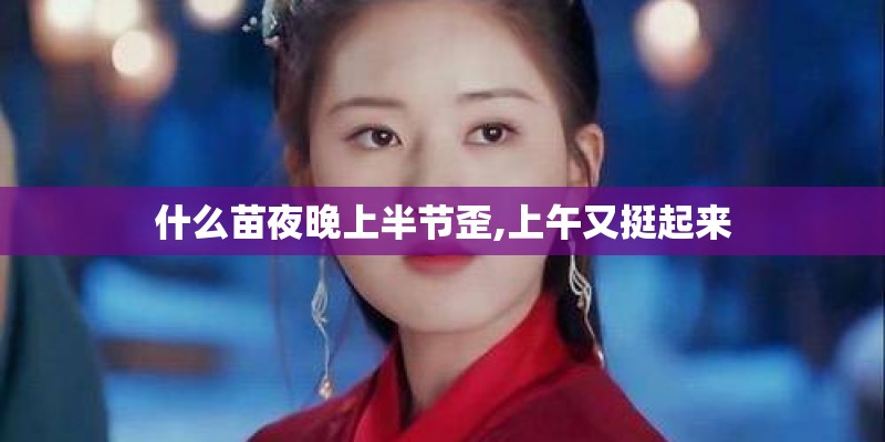 什么苗夜晚上半节歪,上午又挺起来