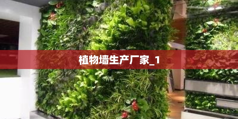 植物墙生产厂家_1