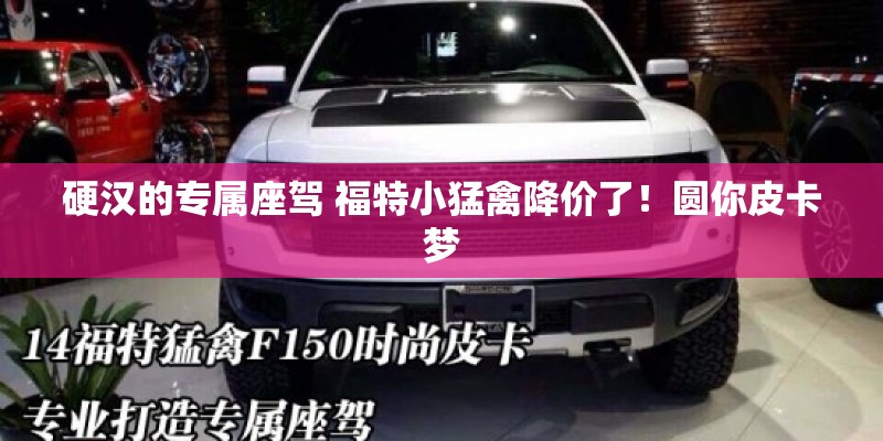 硬汉的专属座驾 福特小猛禽降价了！圆你皮卡梦