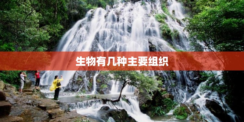 生物有几种主要组织