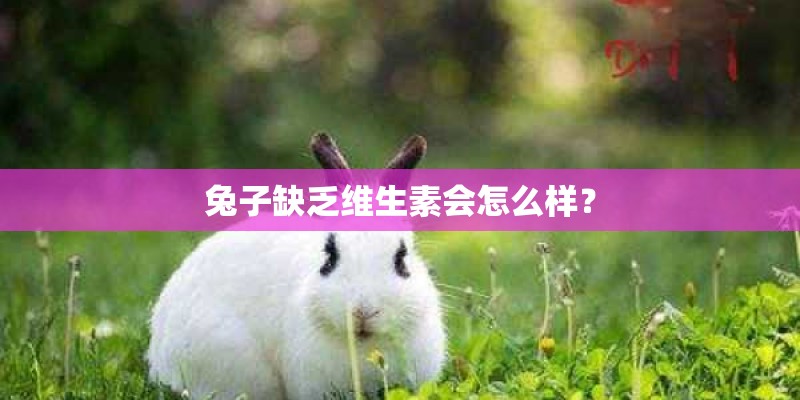 兔子缺乏维生素会怎么样? 兔子缺乏维生素会怎么样?