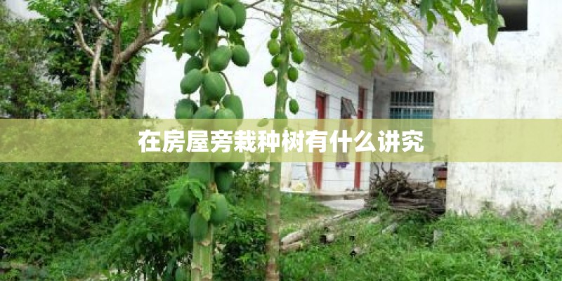 在房屋旁栽种树有什么讲究