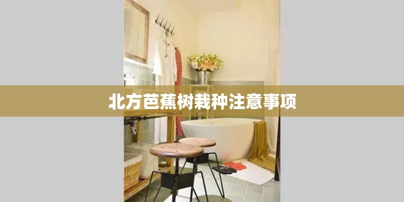 北方芭蕉树栽种注意事项