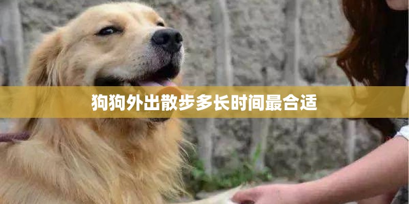 狗为什么喜欢刨垫子 狗为什么喜欢刨垫子