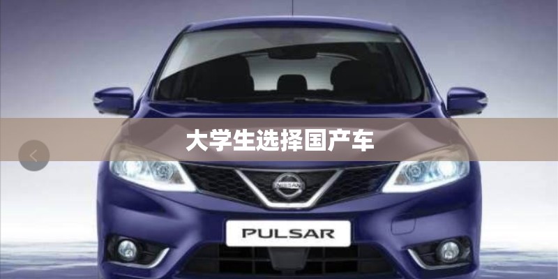 大学生选择国产车