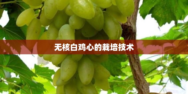 我家仓鼠是三线 是不是很笨阿. 洗了这么长时间的澡 都不会 还让我天天给身上灌 还每次跑