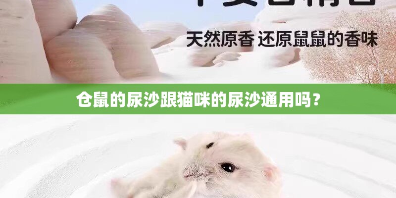 仓鼠的尿沙跟猫咪的尿沙通用吗？