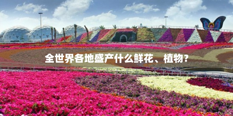 全世界各地盛产什么鲜花、植物？