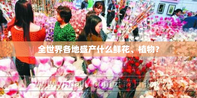全世界各地盛产什么鲜花、植物? 全世界各地盛产什么鲜花、植物?