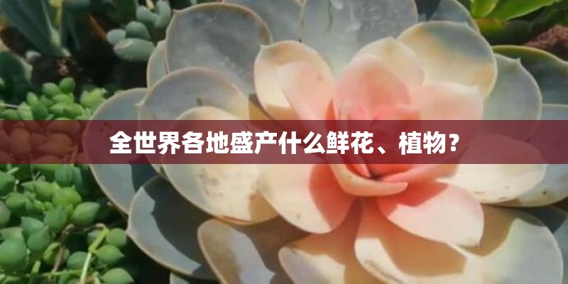 全世界各地盛产什么鲜花、植物? 全世界各地盛产什么鲜花、植物?