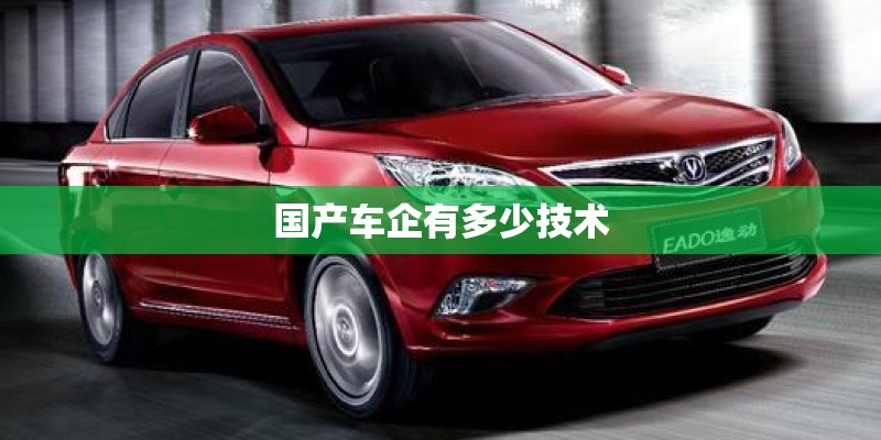 国产车企有多少技术