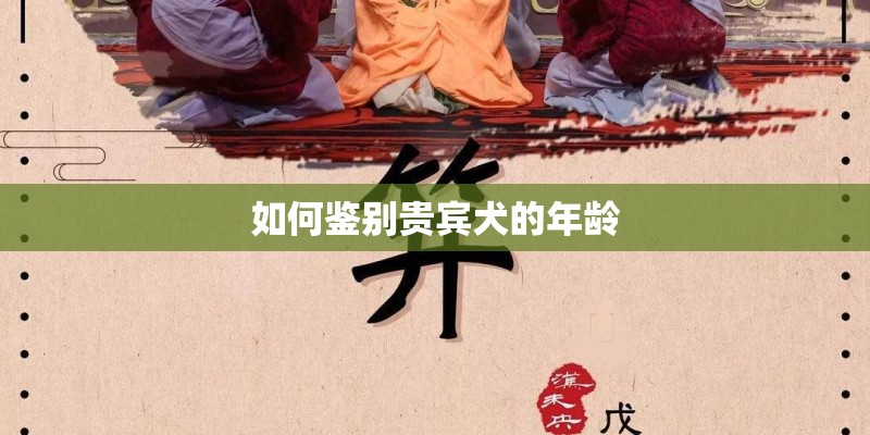 如何鉴别贵宾犬的年龄 如何鉴别贵宾犬的年龄