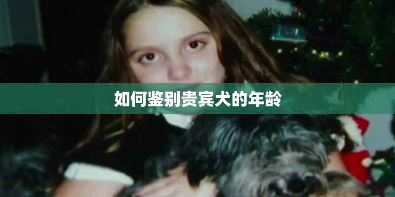 如何鉴别贵宾犬的年龄 如何鉴别贵宾犬的年龄
