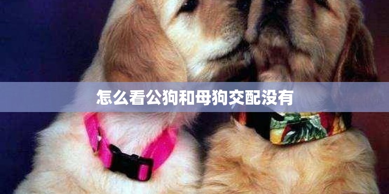 农村水田除了种稻谷还能种什么植物比较好收成呢? 农村水田除了种稻谷还能种什么植物比较好收成呢?