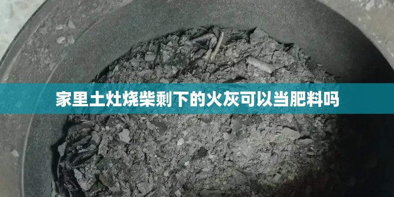 家里土灶烧柴剩下的火灰可以当肥料吗