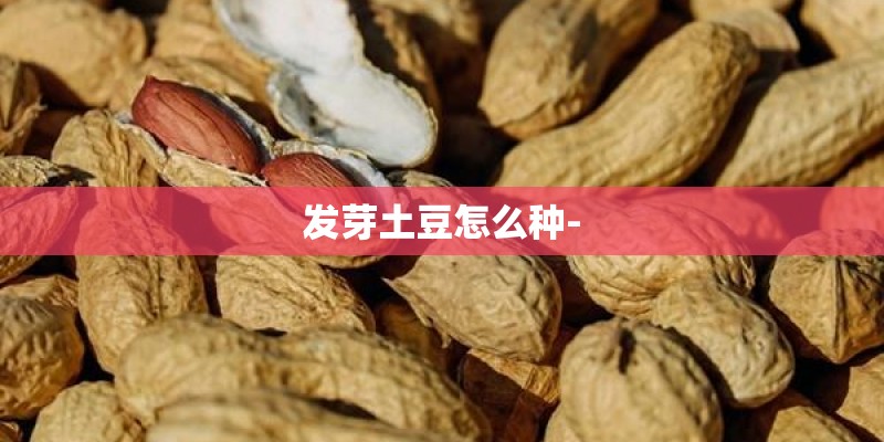 发芽土豆怎么种- 发芽土豆怎么种-
