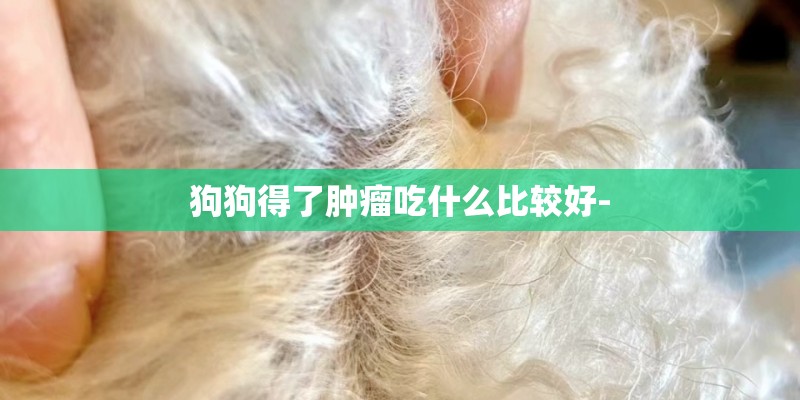 狗狗得了肿瘤吃什么比较好-