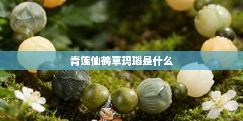 青莲仙鹤草玛瑙是什么