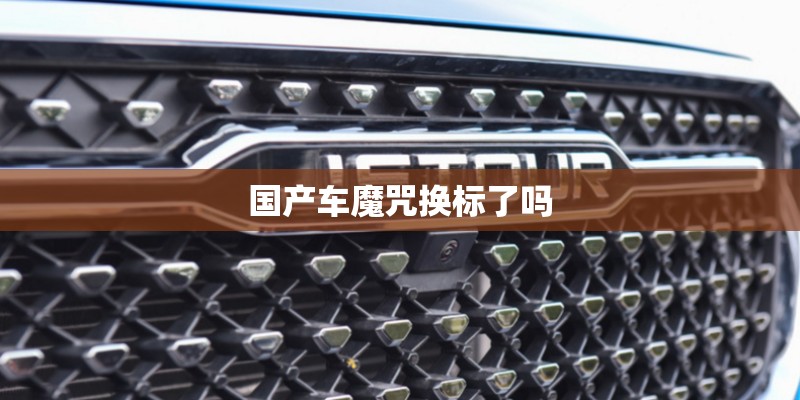 国产车魔咒换标了吗