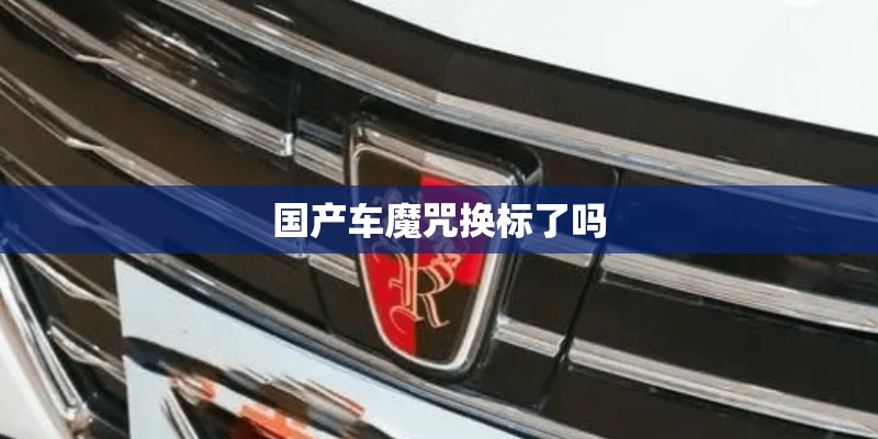 国产车魔咒换标了吗