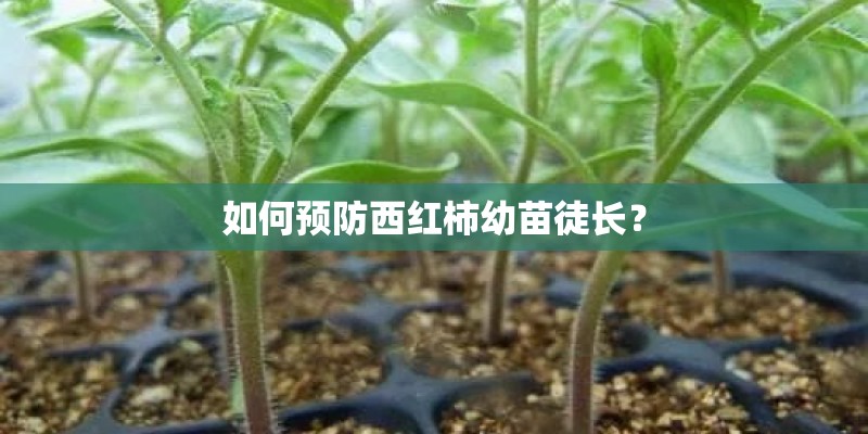 宝骏510最新款落地要多少钱？