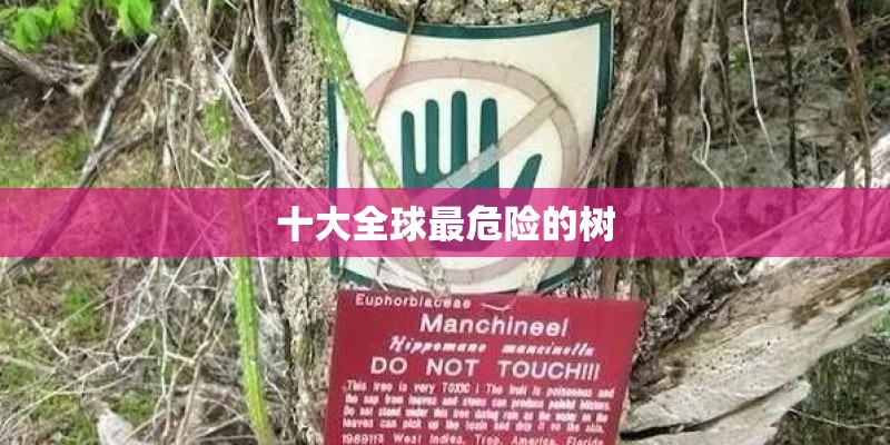 十大全球最危险的树
