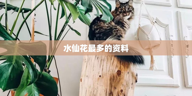 水仙花最多的资料