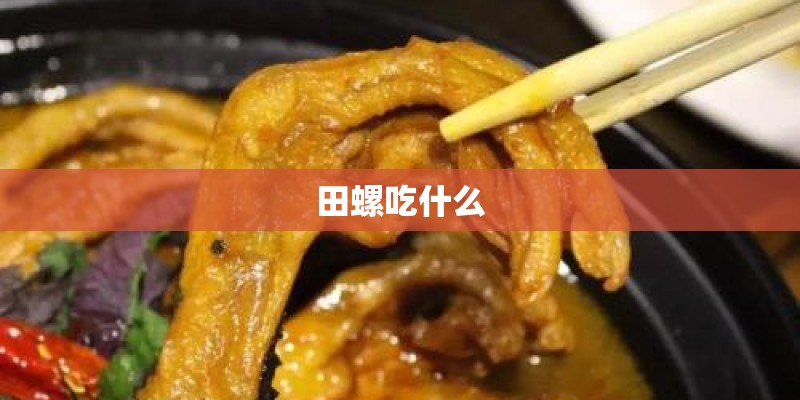 田螺吃什么 田螺吃什么