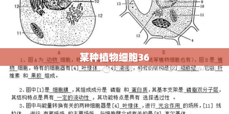泰迪狗狗吃了打虫药以后几天都不吃饭了怎么回事- 泰迪狗狗吃了打虫药以后几天都不吃饭了怎么回事-