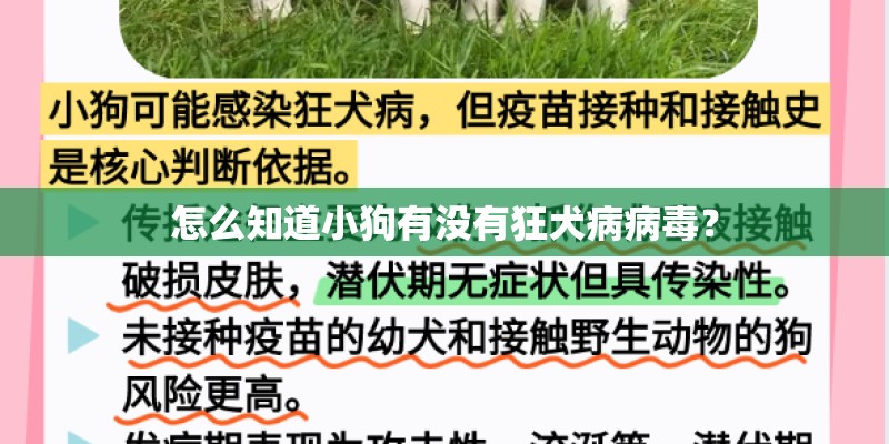 怎么知道小狗有没有狂犬病病毒？