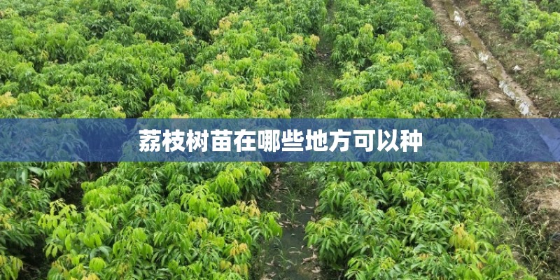 泰迪狗狗吃了打虫药以后几天都不吃饭了怎么回事- 泰迪狗狗吃了打虫药以后几天都不吃饭了怎么回事-