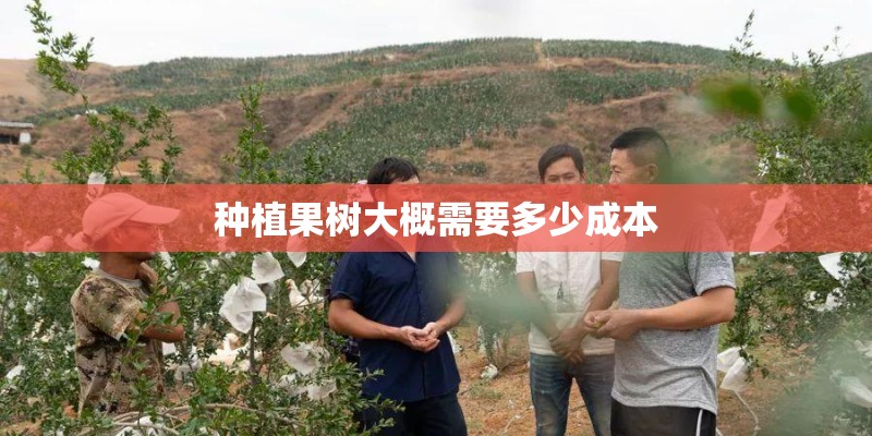 种植果树大概需要多少成本