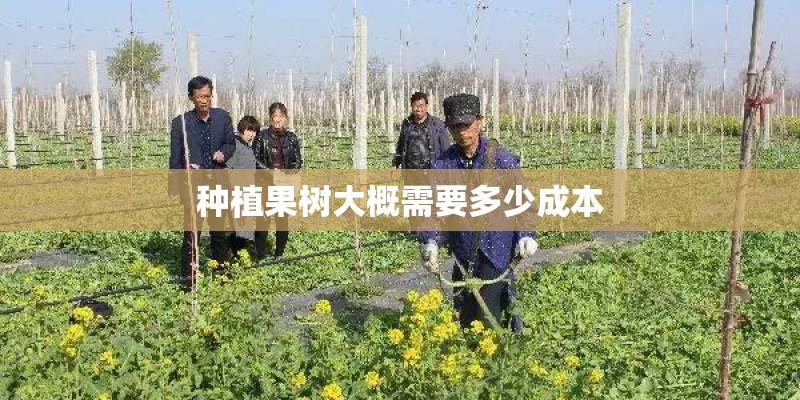 种植果树大概需要多少成本