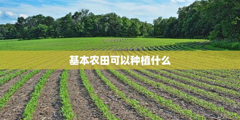 基本农田可以种植什么 基本农田可以种植什么