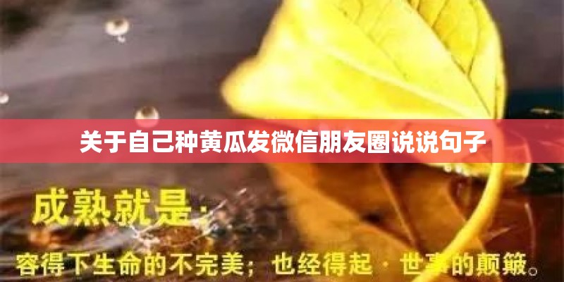 关于自己种黄瓜发微信朋友圈说说句子 关于自己种黄瓜发微信朋友圈说说句子