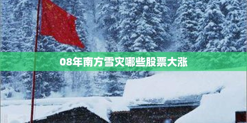 08年南方雪灾哪些股票大涨