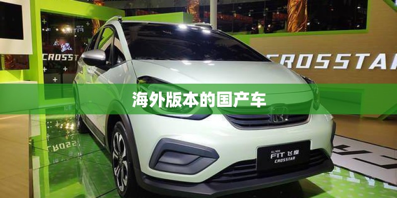 海外版本的国产车