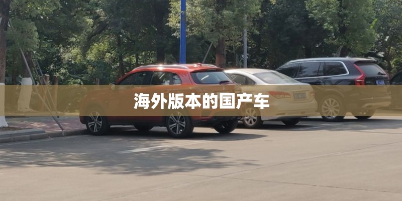 海外版本的国产车 海外版本的国产车