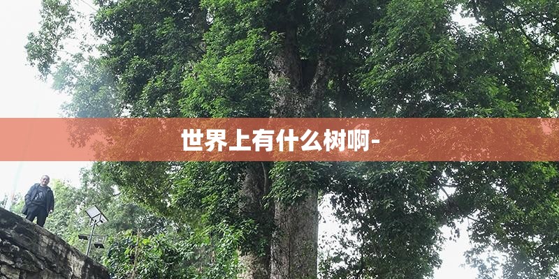 世界上有什么树啊-