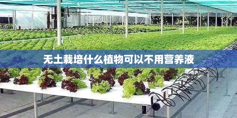 vivo黑名单设置在哪里设置